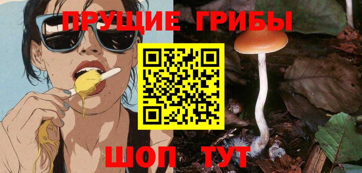 Псилоцибиновые грибы Magic Shrooms Михайловка